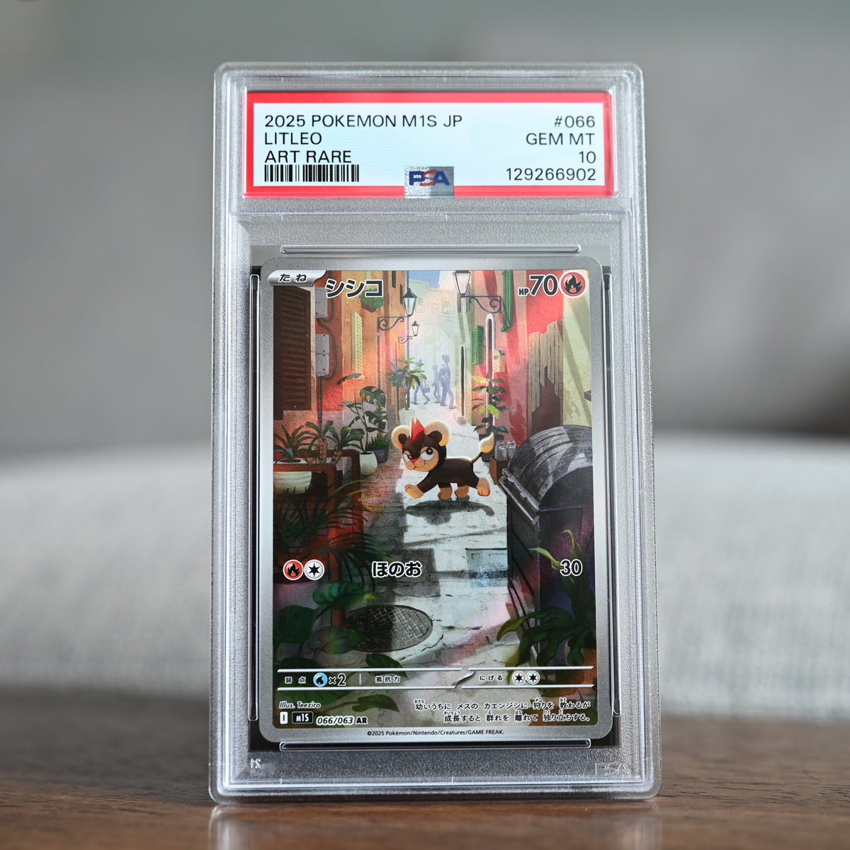 Litleo 066/063 PSA 10