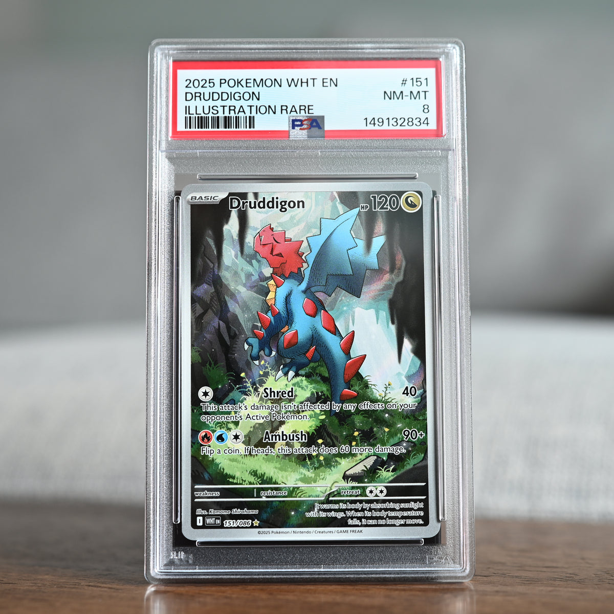 Druddigon 151/086 PSA 8