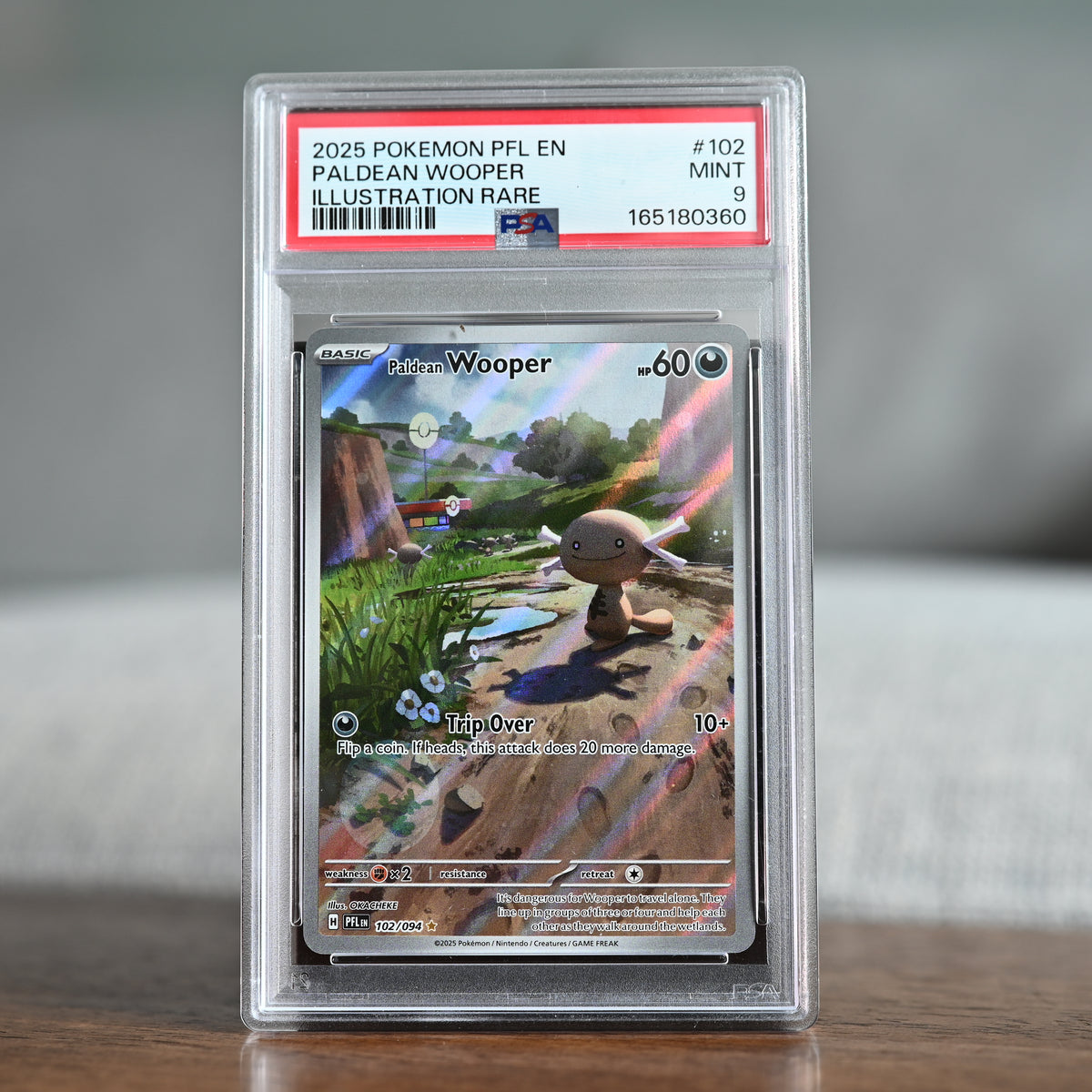 Paldean Wooper 102/094 PSA 9