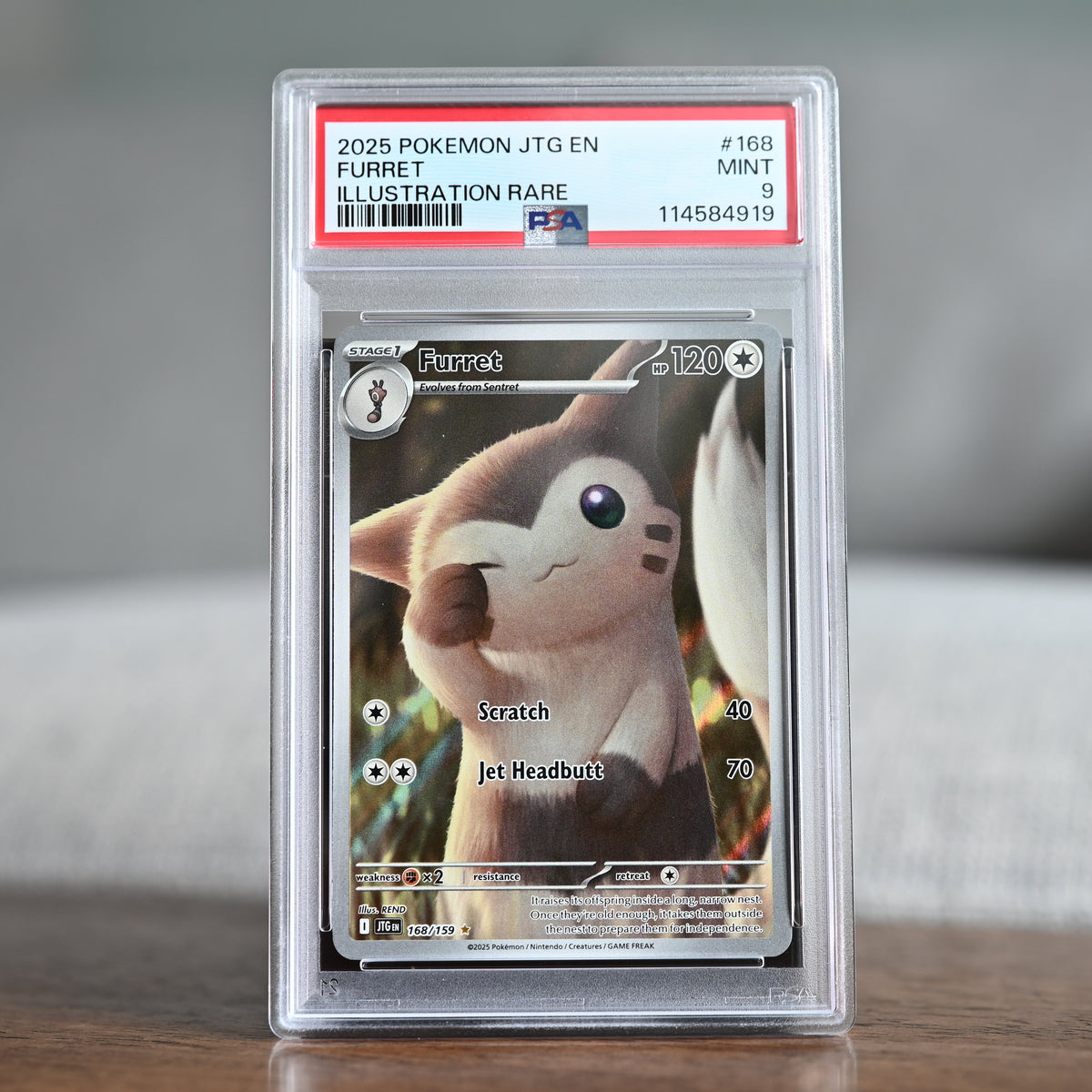 Furret 168/159 PSA 9