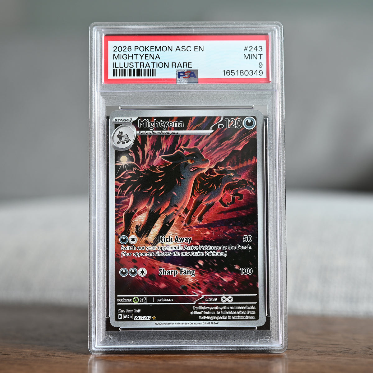 Mightyena 243/217 PSA 9